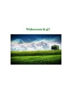 Tài liệu Widescreen là gì? docx