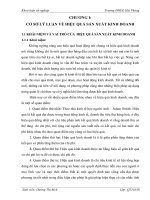 Một số biện pháp nâng cao hiệu quả sản xuất kinh doanh của công ty CP SIVICO 