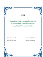 Tài liệu Đề tài 