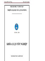 Hoàn thiện tổ chức công tác kế toán doanh thu, chi phí và xác định kết quả kinh doanh tại công ty trách nhiệm hữu hạn thương mại đông á 