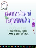 Gián án LTVC: Từ đồng âm