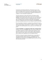 Tài liệu Nothing But Net 2009 Internet Investment Guide 14 doc