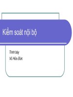 Kiểm soát nội bộ 