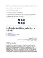 Tài liệu Manual on the Production and Use of Live Food for Aquaculture - Phần 4 pptx