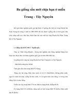 Tài liệu Ba giống sắn mới chịu hạn ở miền Trung - Tây Nguyên pdf