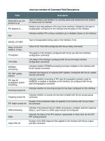 Tài liệu show ipx interface e0 Command Field Descriptions pptx