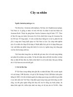 Tài liệu Cây sa nhân ppt