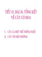 Tài liệu tiet 43 sinh hoc 6 tong ket cay co hoa