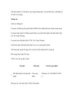 Tài liệu Cấp Giấy phép Tư vấn đầu tư xây dựng đường dây và trạm biến áp có cấp điện áp từ 35kV trở xuống pptx