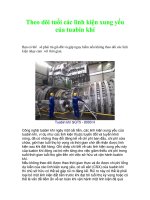 Tài liệu Theo dõi tuổi các linh kiện xung yếu của tuabin khí doc