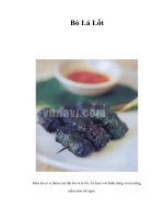 Tài liệu Bò Lá Lốt doc