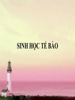 Tài liệu Sinh học tế bào - Lạp thể ppt