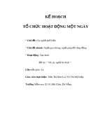 Tài liệu KẾ HOẠCH TỔ CHỨC HOẠT ĐỘNG MỘT NGÀY - Chủ đề: Các nghề phổ biến ppt