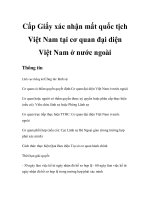 Tài liệu Cấp Giấy xác nhận mất quốc tịch Việt Nam tại cơ quan đại diện Việt Nam ở nước ngoài docx