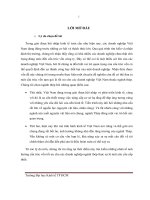 Kiểm định một số yếu tố ảnh hưởng đến cấu trúc vốn của các công ty sản xuất và kinh doanh thép việt nam 