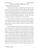 293 phát triển phối thức xúc tiến thương mại sản phẩm dịch vụ megawan của trung tâm viễn thông khu vực i 