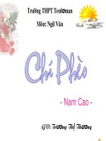 Bài giảng Chí Phèo - Văn 11