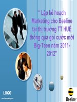 lập kế hoạch marketing cho beeline tại thị trường TT HUẾ thông qua gói cước mới big teen năm 2011 2012 