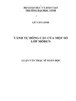 Vành tự đồng cấu của một số lớp môđun 
