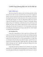 Tài liệu Lombok frags phương pháp nuôi san hô nhân tạo pptx