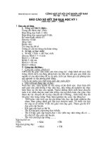 Bài giảng bc so ket thi dua hk1.doc