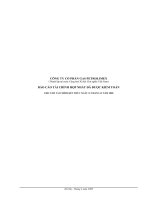 Tài liệu BÁO CÁO 