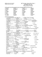 Bài soạn Đề thi HSG lớp 9 vòng 1(2010-2011)