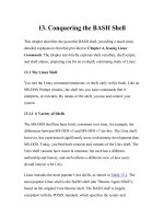 Tài liệu Learning DebianGNU Linux-Chapter 13. Conquering the BASH Shell pptx