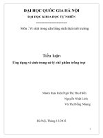 Ứng dụng vi sinh trong xử lý chế phẩm trồng trọt 