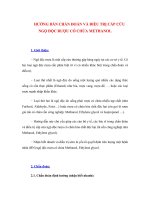 Tài liệu HƯỚNG DẪN CHẨN ĐOÁN VÀ ĐIỀU TRỊ CẤP CỨU NGỘ ĐỘC RƯỢU CÓ CHỨA METHANOL pdf