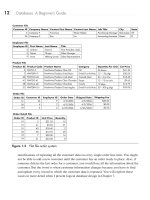 Tài liệu McGraw-Hill - Databases_ A Beginner_s Guide (2009)02 pdf