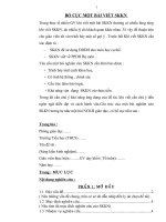 Bài soạn bố cục một bài viết SKKN