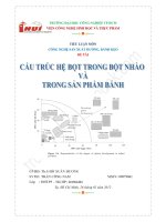 Tiểu luận cấu trúc hệ bọt trong bột nhào và trong sản phẩm bánh 
