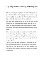 Tài liệu Xây dựng cấu trúc nền móng của thương hiệu pdf