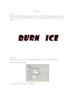 Tài liệu Burn Ice pptx