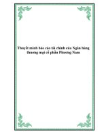 Tài liệu Thuyết minh báo cáo tài chính của Ngân hàng thuơng mại cổ phần Phương Nam ppt