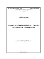 Nhận dạng liên kết trên bề mặt tiếp xúc giữa móng cọc và nền đàn hồi 
