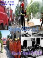 Bài giảng Tiết 21 - Bài 15 PHÒNG NGỪA TAI NẠN VŨ KHÍ VÀ CÁC CHẤT ĐỘC HẠI