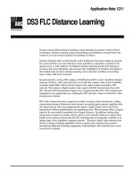 Tài liệu DS3 FLC Distance Learning pdf