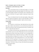 Tiểu luận Công ty TNHH và công ty Cổ phần