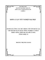 ĐÁNH GIÁ CÔNG tác HUY ĐỘNG vốn tín DỤNG tại CHI NHÁNH NHNNo&PTNT đô LƯƠNG  NGHỆ AN 