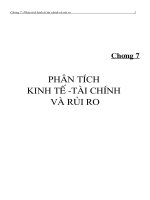 Phân tích kinh tế tài chính và rủi ro