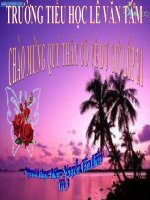 Tài liệu GIÁO ÁN LT&C L3