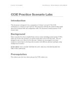 Tài liệu CCIE Practice Scenario Labs doc