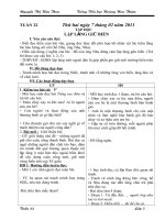 Gián án giao án lớp 5 tuần 22