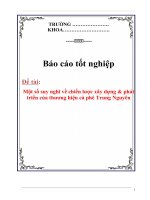 Tài liệu Báo cáo tốt nghiệp: 