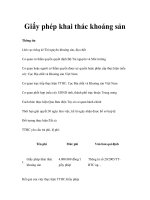 Tài liệu Giấy phép khai thác khoáng sản pdf