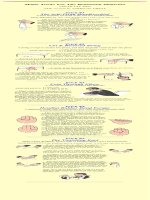 Anonymous -  magic tricks for the beginning magician 