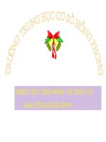 Bài giảng Tiet 43(Được)