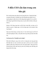 Tài liệu 5 điều CEO cần làm trong cơn bão giá doc